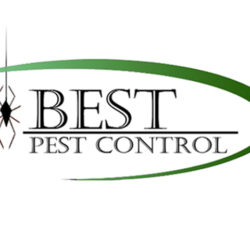 Best Pest Control